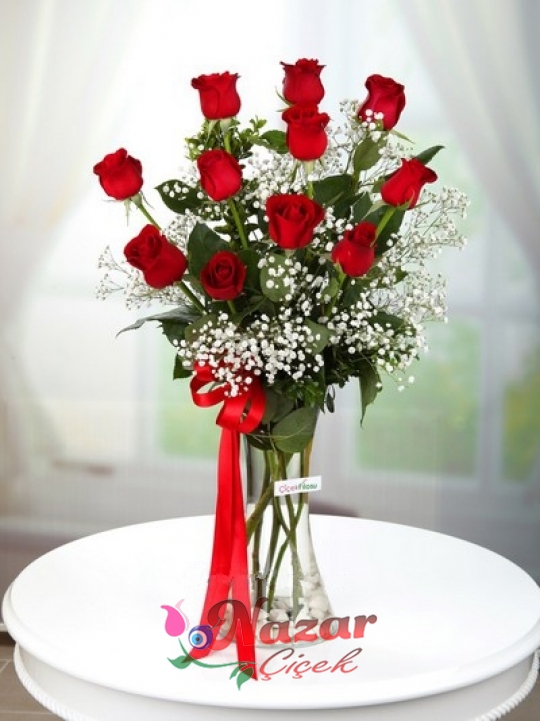 Camda 11 Kırmızı Gül