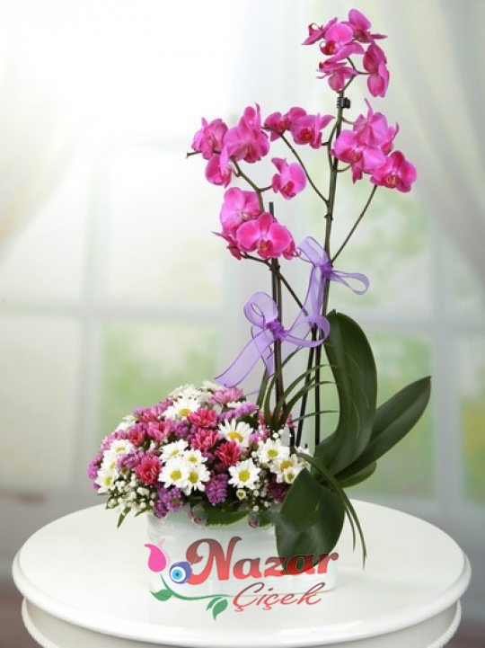 Mor Orkide ve Kır Çiçekleri